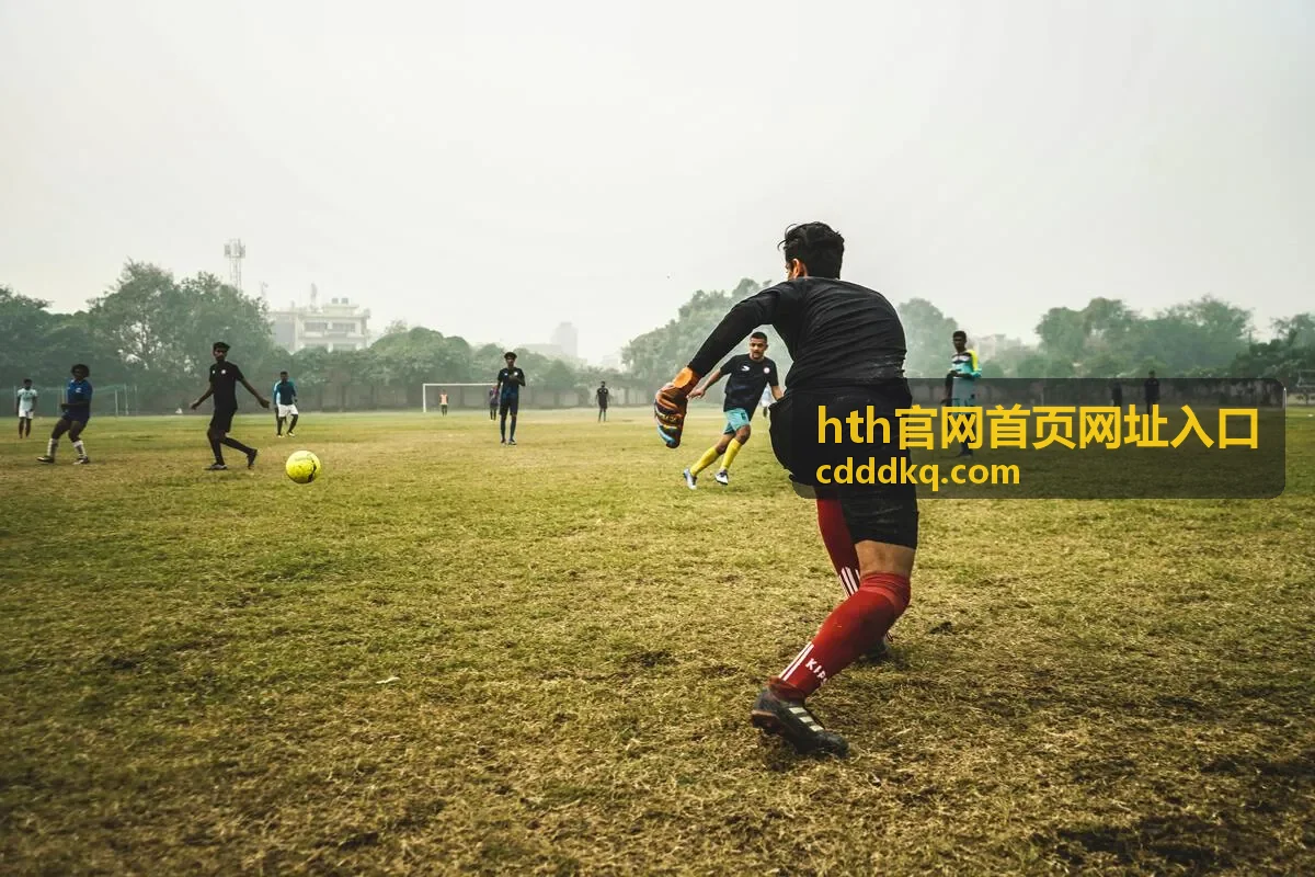 hth官网首页网址入口访问步骤示意图