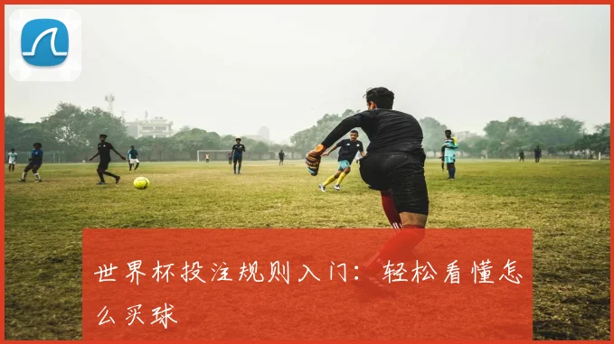 世界杯投注规则入门：轻松看懂怎么买球