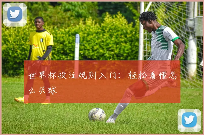 世界杯投注规则入门：轻松看懂怎么买球