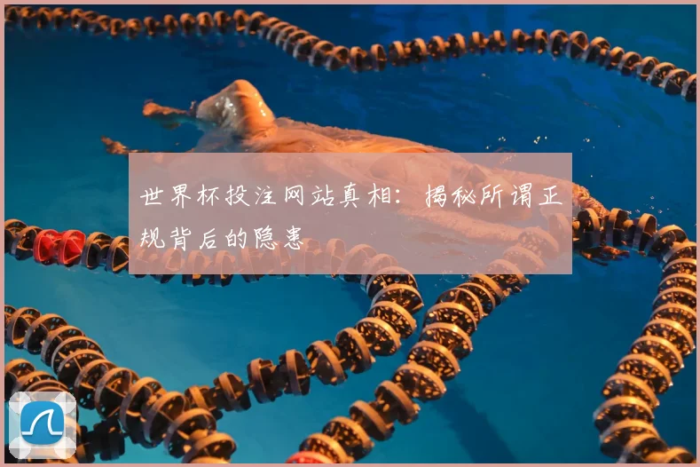 世界杯投注网站真相:揭秘所谓正规背后的隐患