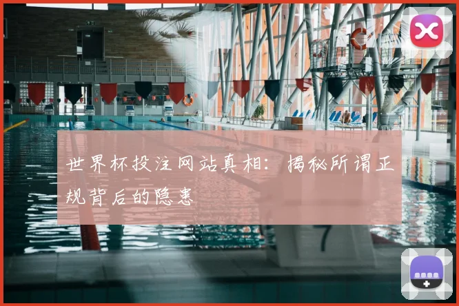 世界杯投注网站真相：揭秘所谓正规背后的隐患